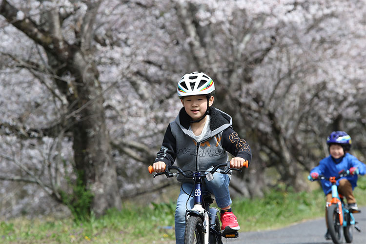 ヨツバサイクルのイメージ